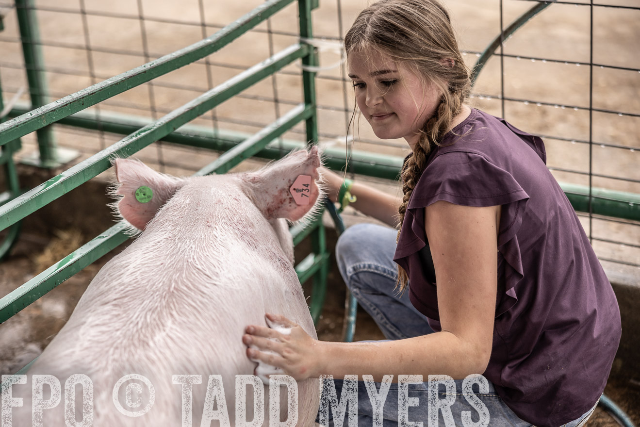 TMyers_PlotTwist_HEB_ConroeTX_April2024-516116