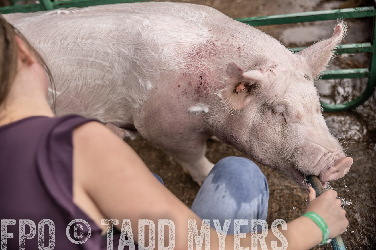 TMyers_PlotTwist_HEB_ConroeTX_April2024-516125