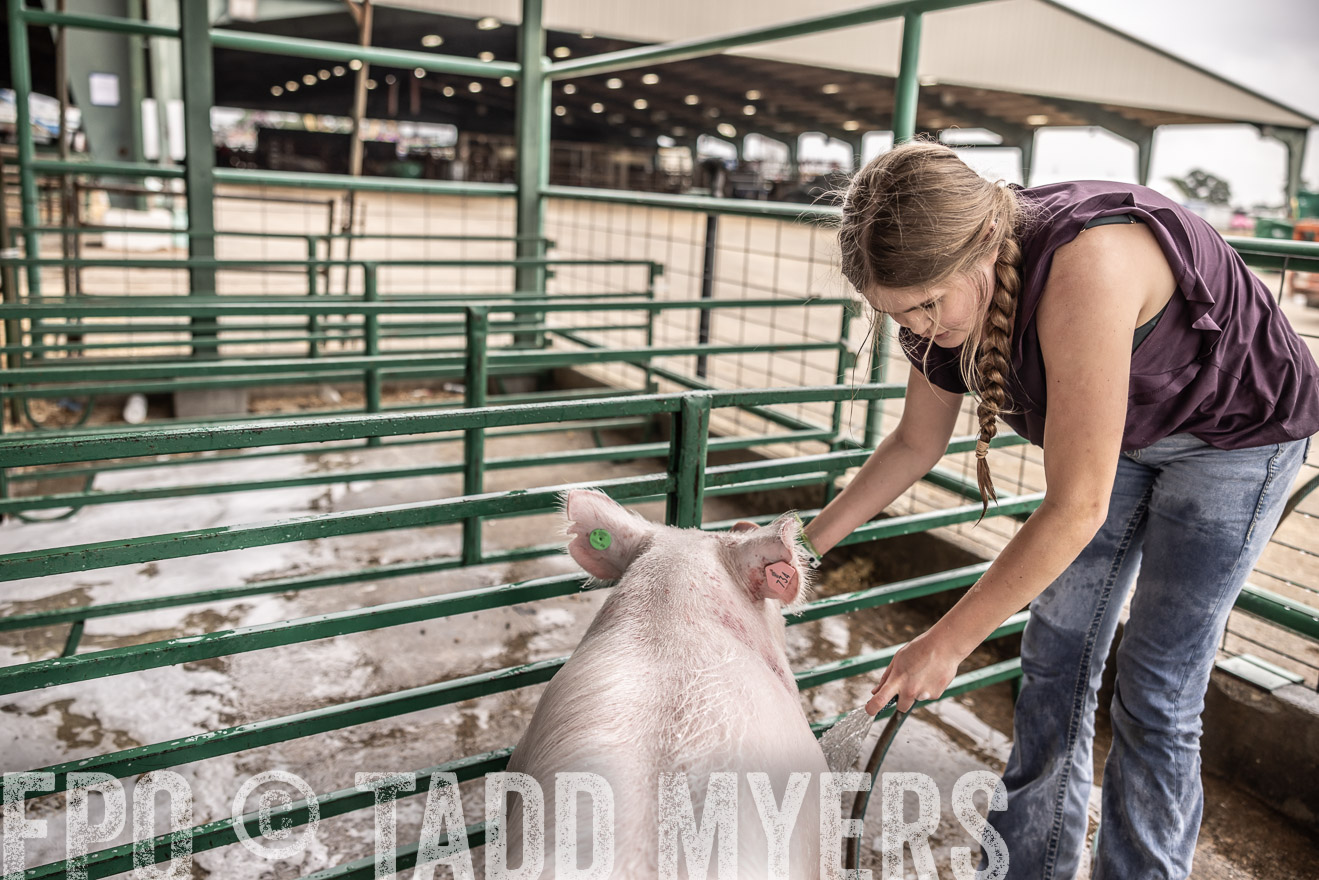 TMyers_PlotTwist_HEB_ConroeTX_April2024-516142