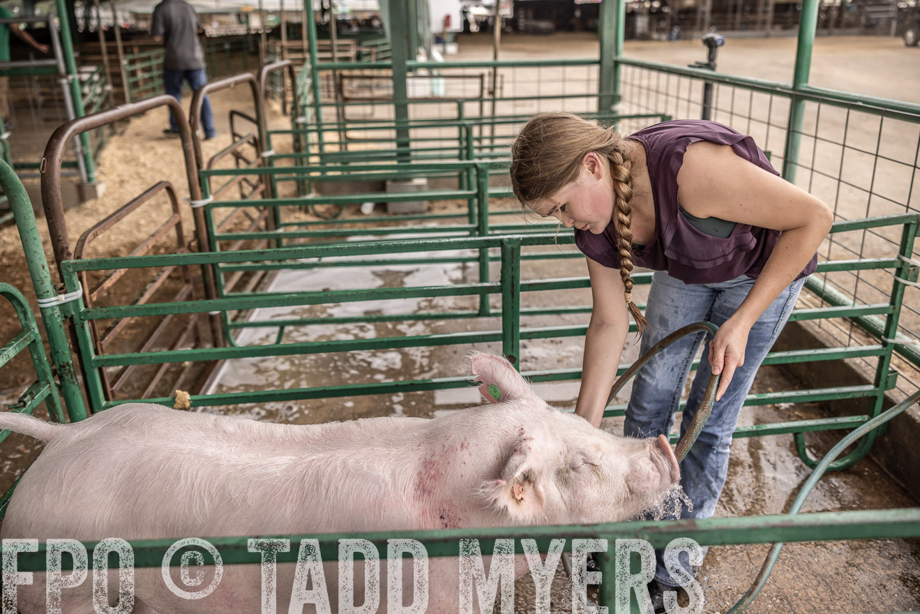 TMyers_PlotTwist_HEB_ConroeTX_April2024-516164