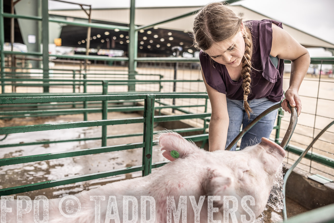 TMyers_PlotTwist_HEB_ConroeTX_April2024-516170