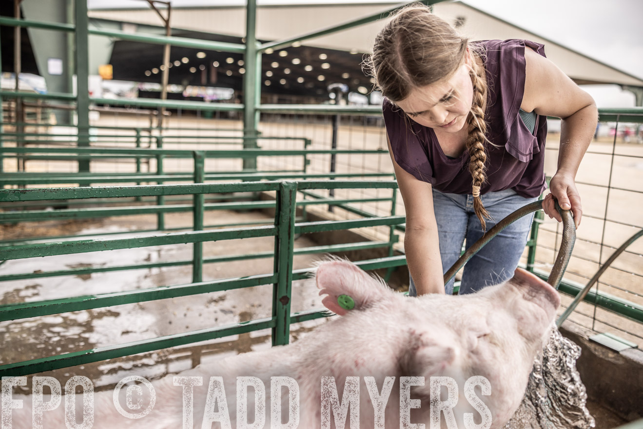 TMyers_PlotTwist_HEB_ConroeTX_April2024-516171