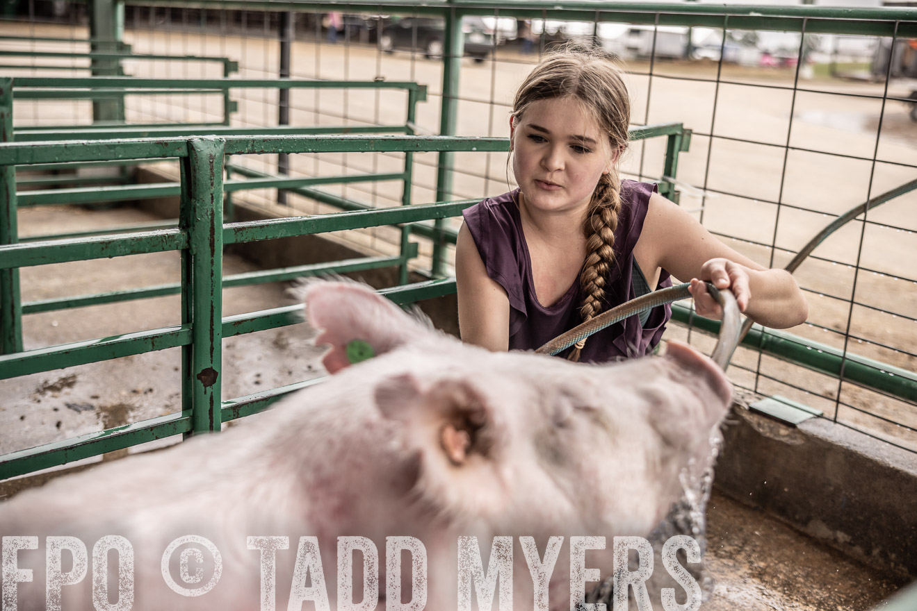 TMyers_PlotTwist_HEB_ConroeTX_April2024-516191