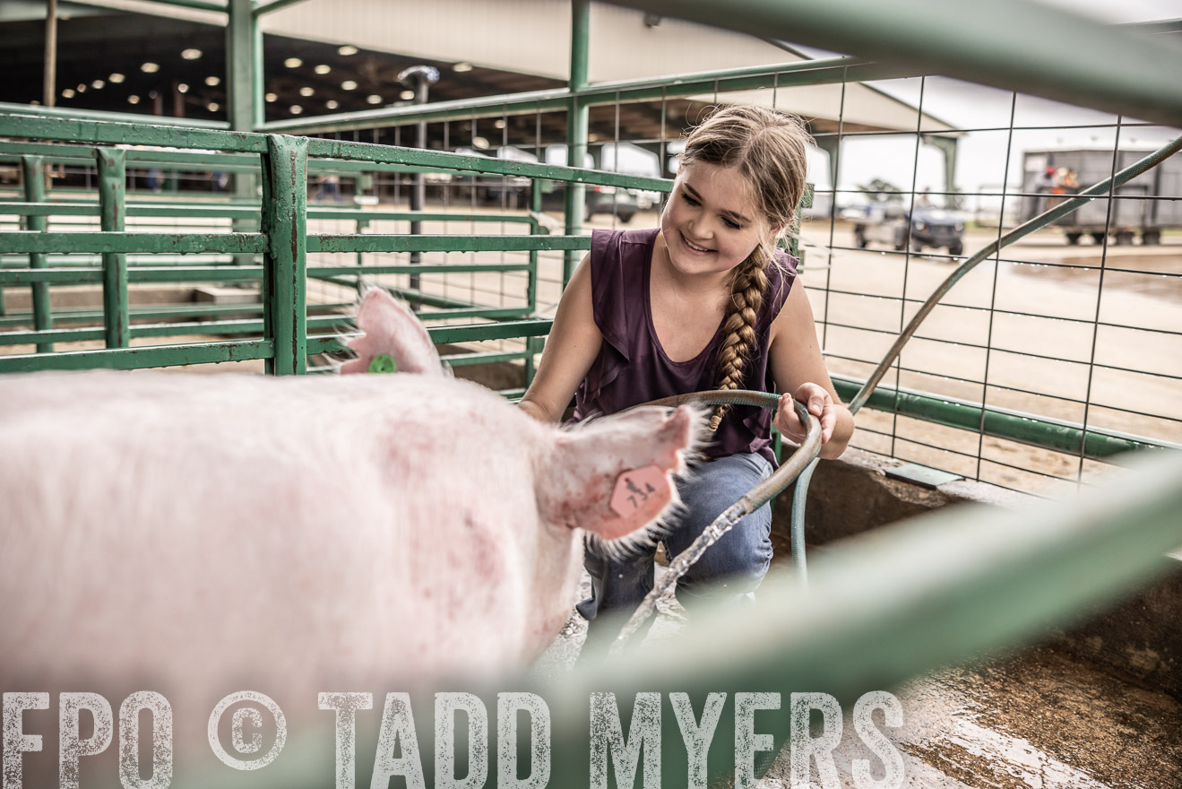 TMyers_PlotTwist_HEB_ConroeTX_April2024-516217