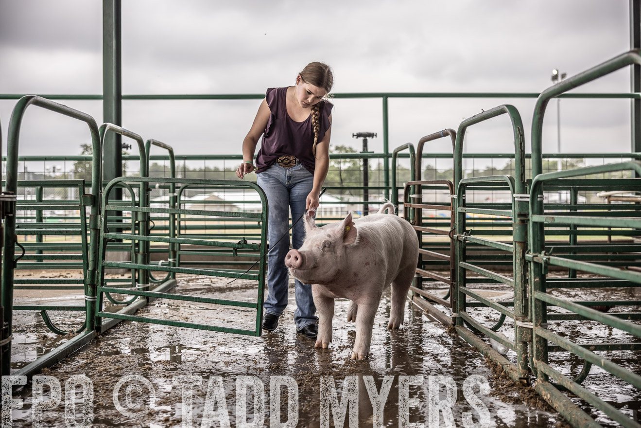 TMyers_PlotTwist_HEB_ConroeTX_April2024-516243