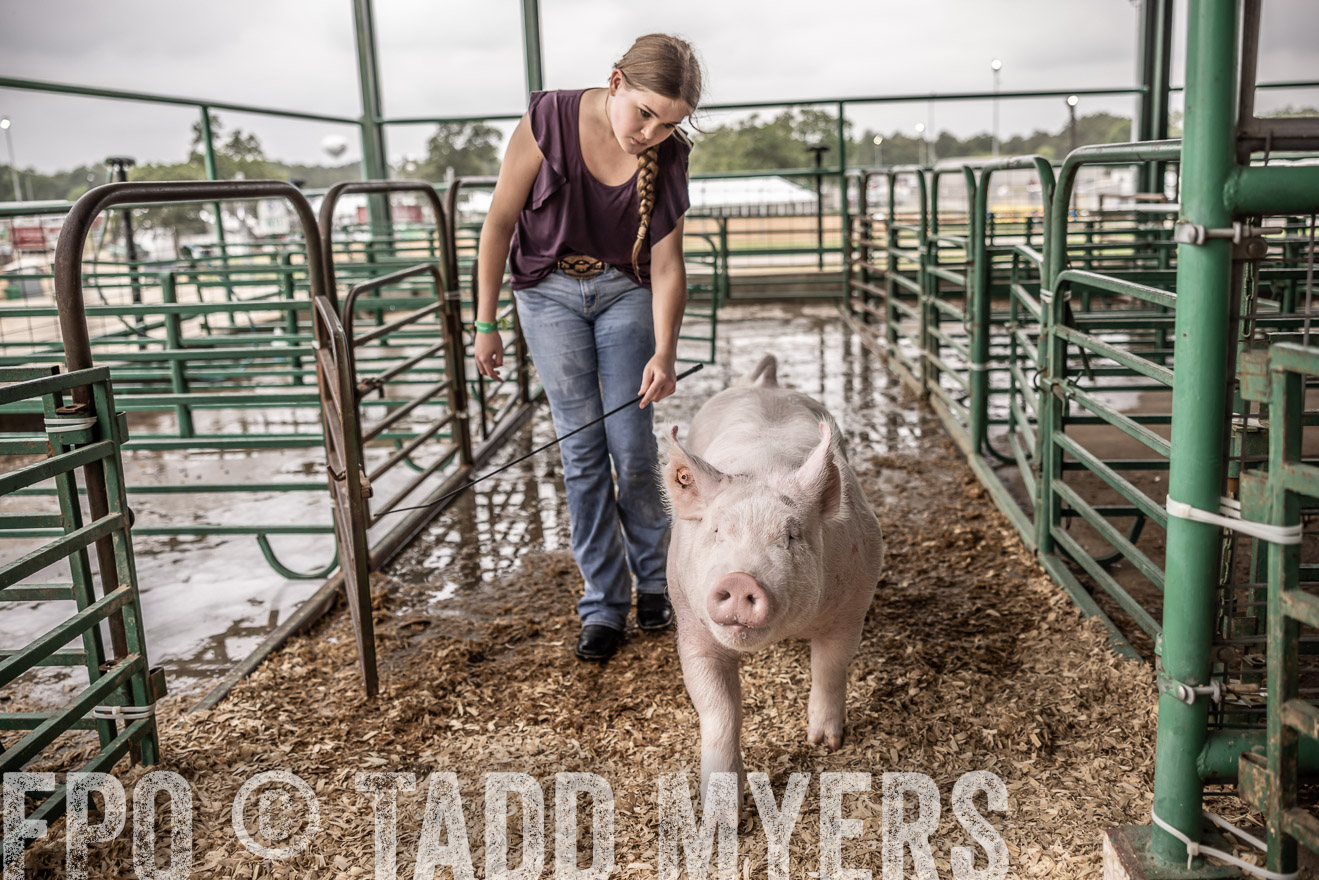 TMyers_PlotTwist_HEB_ConroeTX_April2024-516253