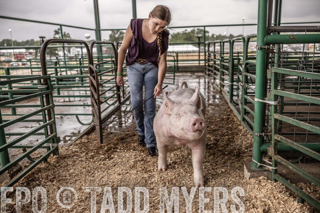 TMyers_PlotTwist_HEB_ConroeTX_April2024-516255