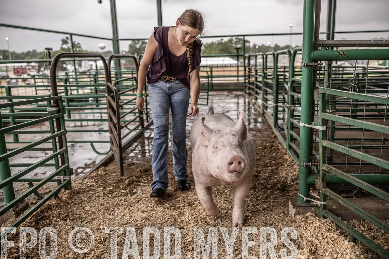 TMyers_PlotTwist_HEB_ConroeTX_April2024-516256