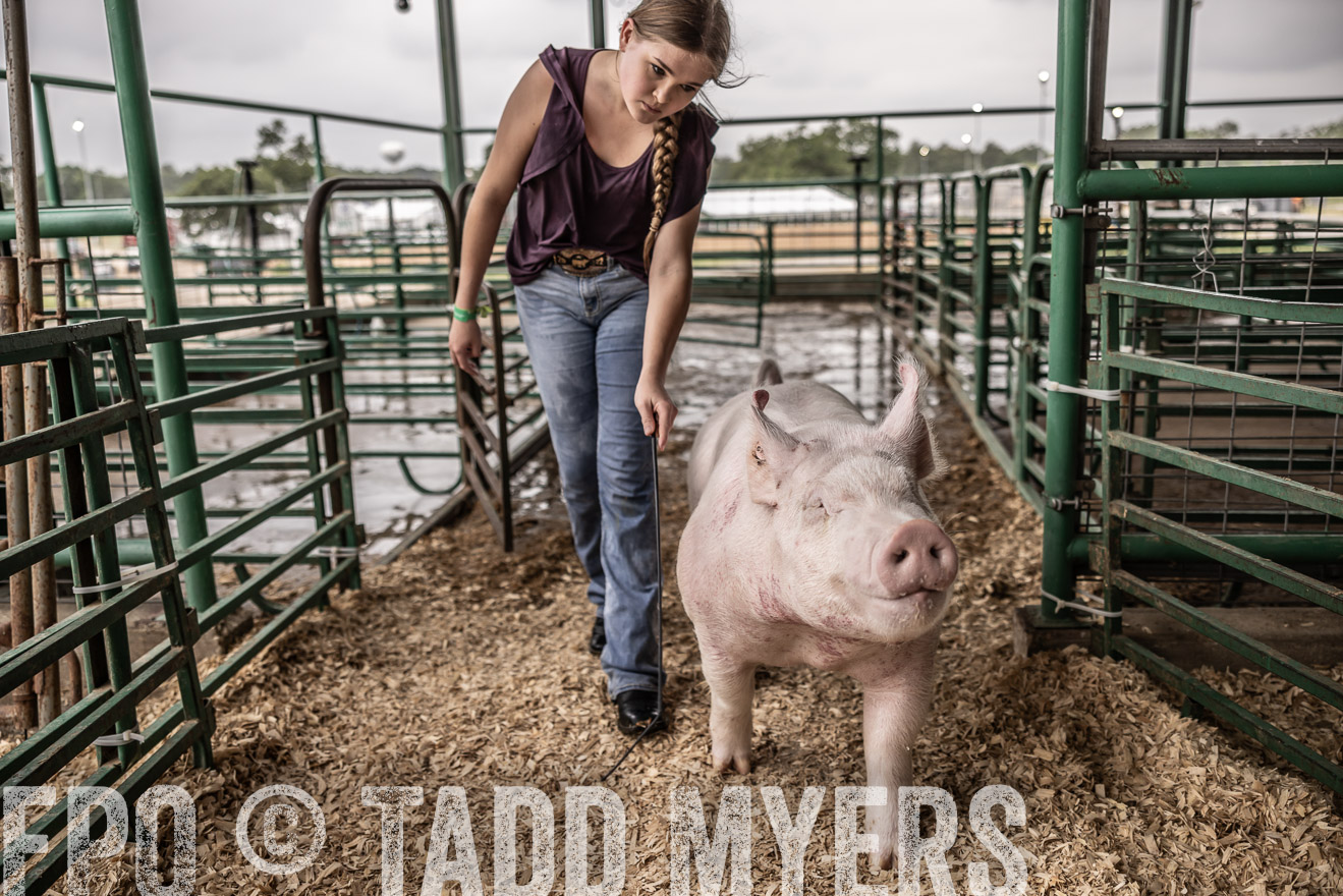 TMyers_PlotTwist_HEB_ConroeTX_April2024-516259