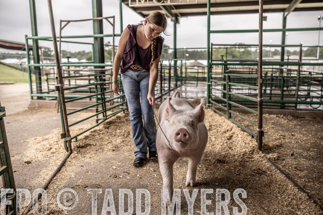 TMyers_PlotTwist_HEB_ConroeTX_April2024-516263