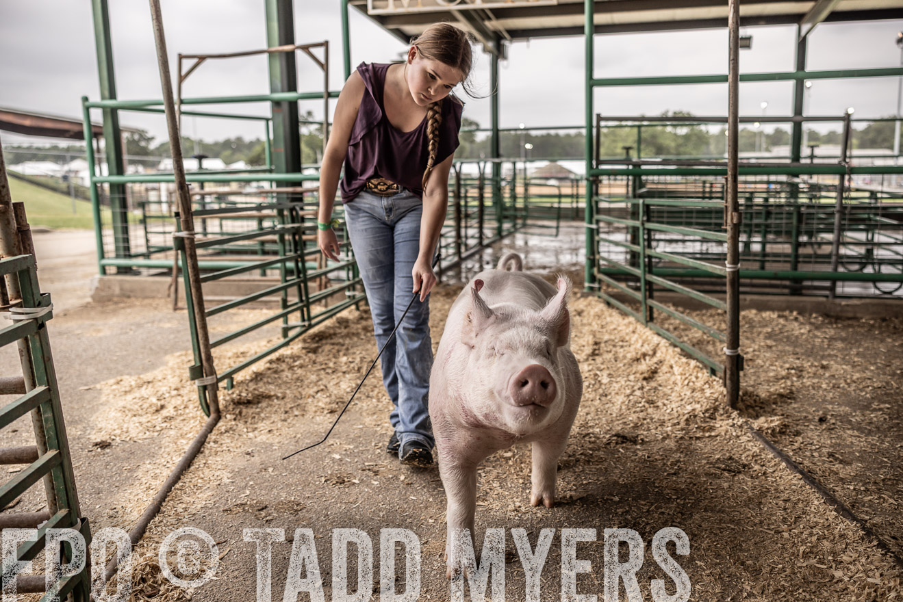 TMyers_PlotTwist_HEB_ConroeTX_April2024-516264