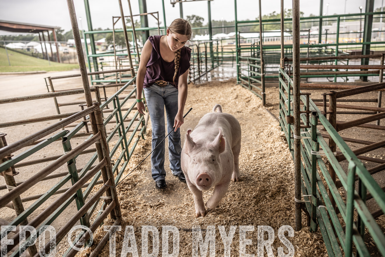 TMyers_PlotTwist_HEB_ConroeTX_April2024-516266