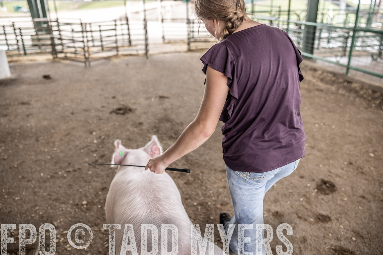 TMyers_PlotTwist_HEB_ConroeTX_April2024-516282