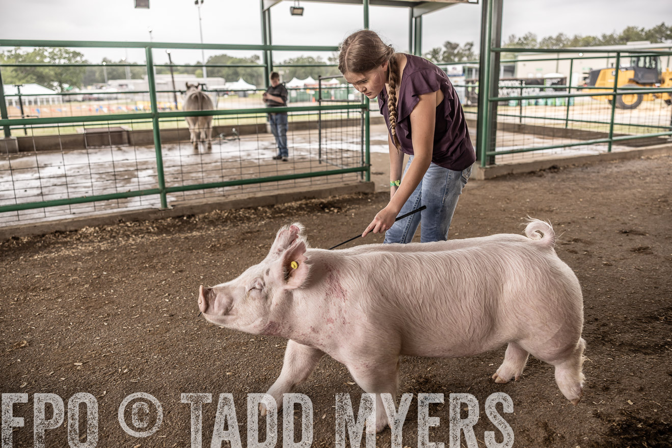 TMyers_PlotTwist_HEB_ConroeTX_April2024-516286