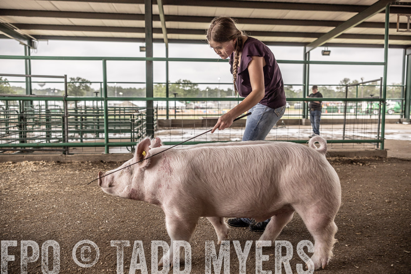 TMyers_PlotTwist_HEB_ConroeTX_April2024-516289