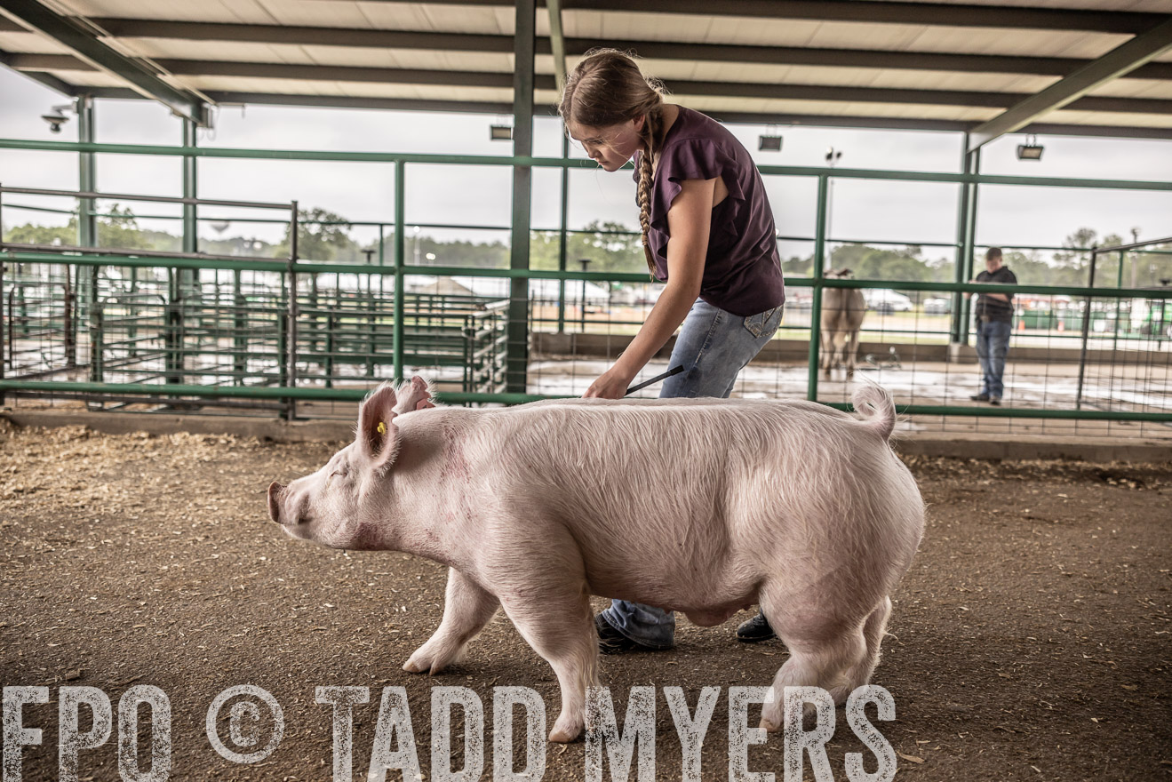 TMyers_PlotTwist_HEB_ConroeTX_April2024-516290