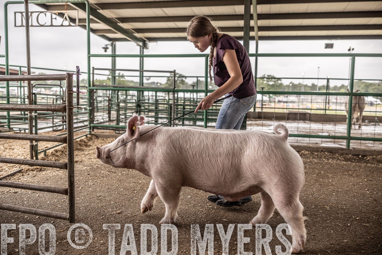 TMyers_PlotTwist_HEB_ConroeTX_April2024-516292
