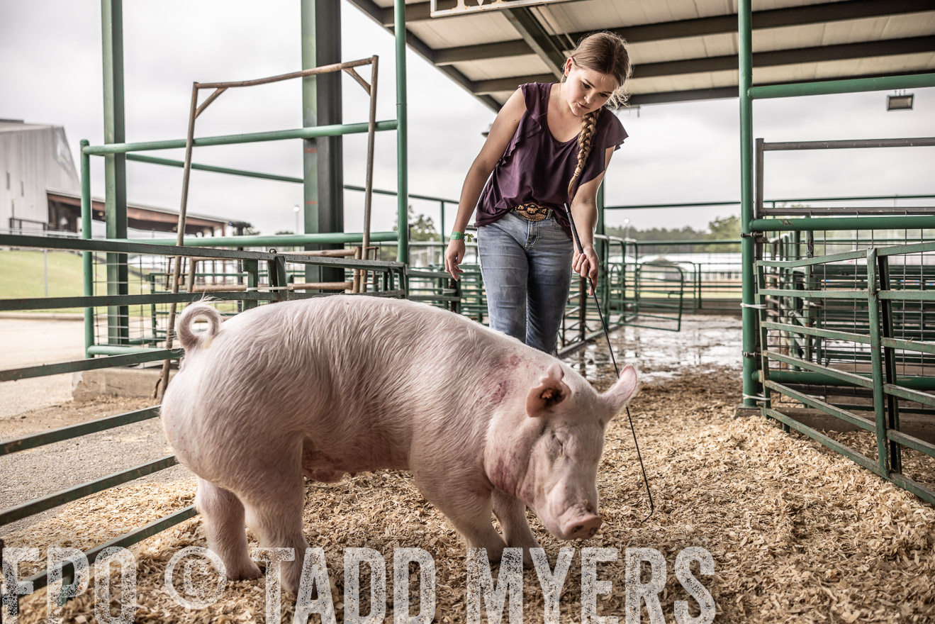 TMyers_PlotTwist_HEB_ConroeTX_April2024-516299