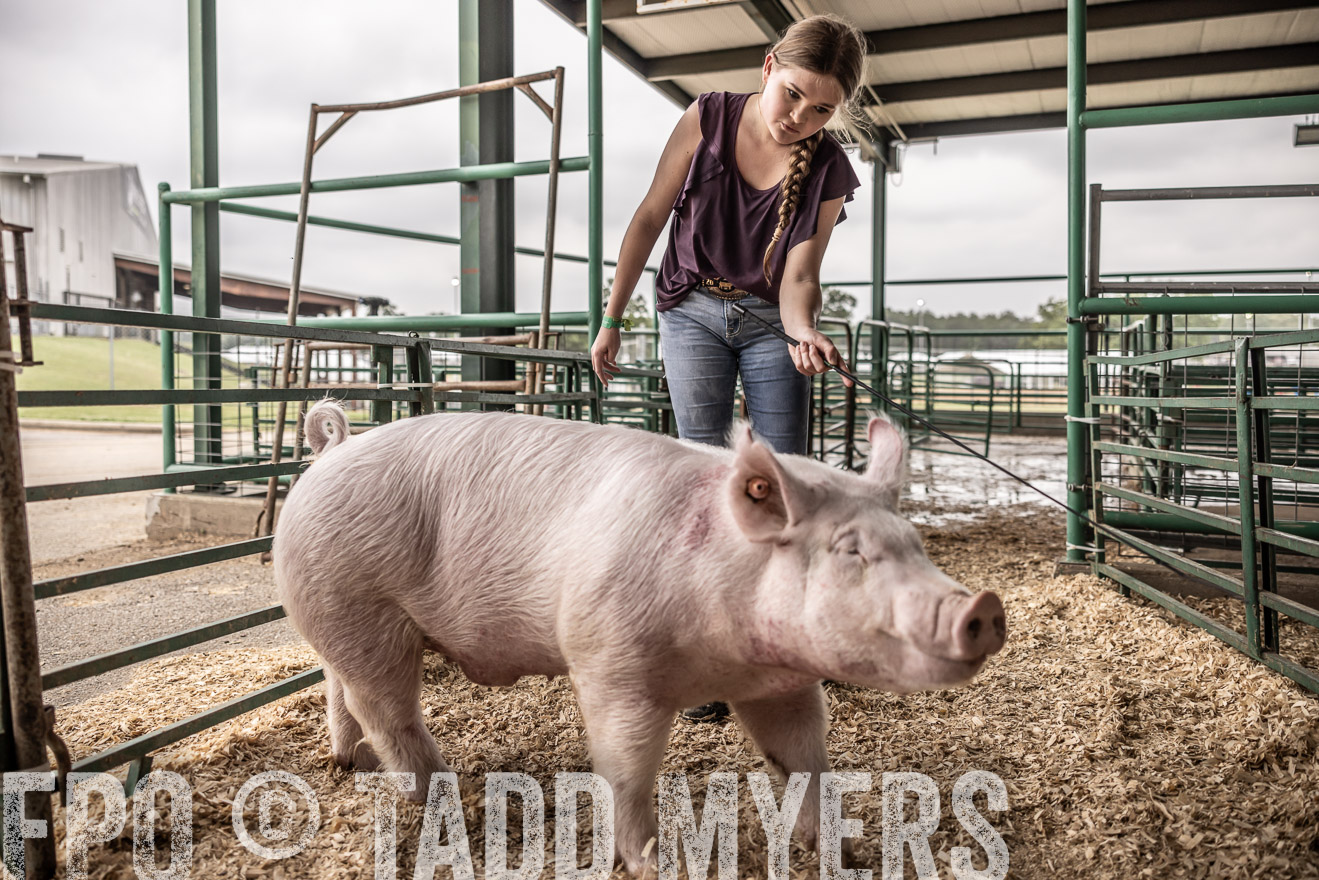 TMyers_PlotTwist_HEB_ConroeTX_April2024-516301