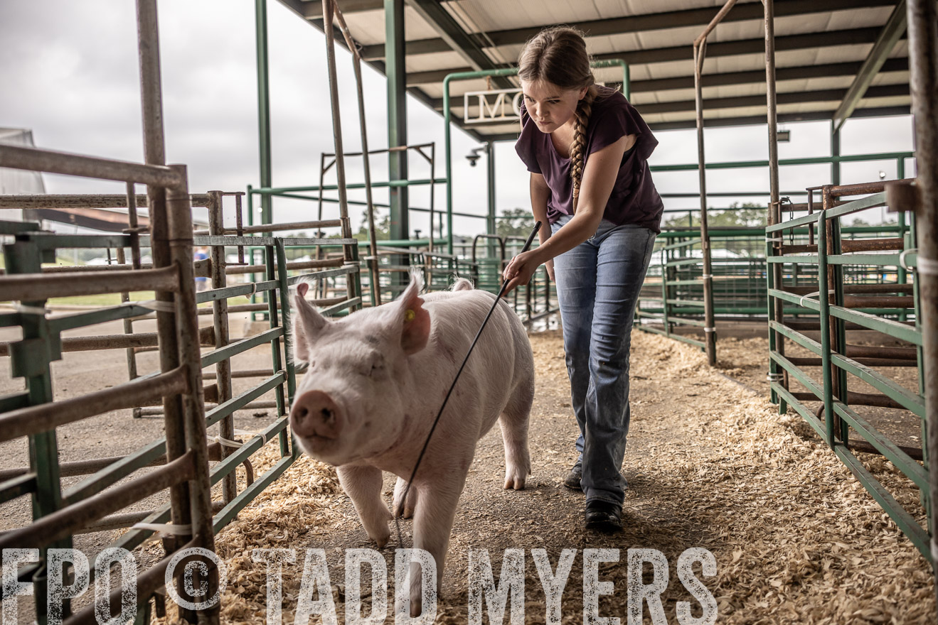 TMyers_PlotTwist_HEB_ConroeTX_April2024-516309
