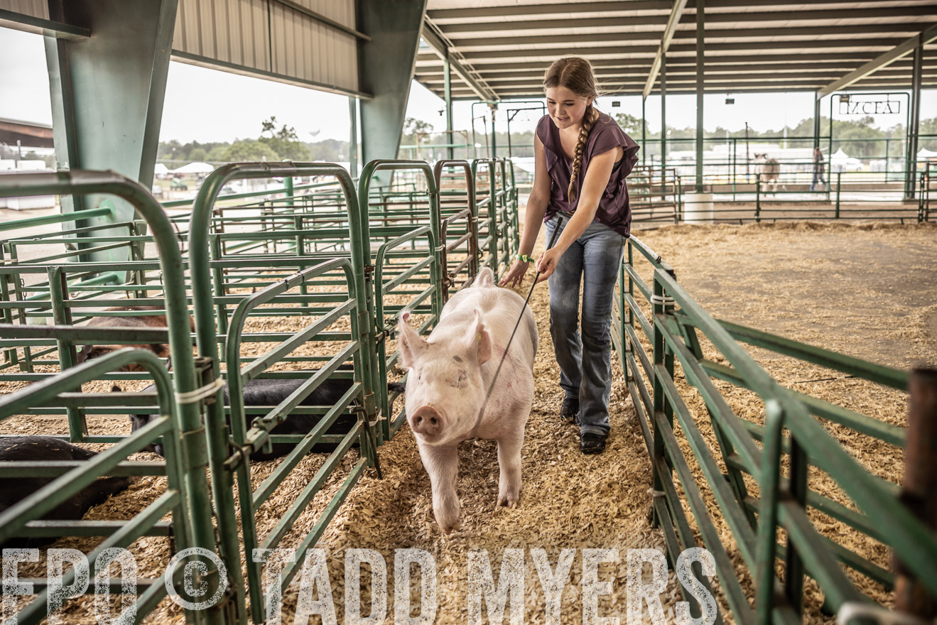 TMyers_PlotTwist_HEB_ConroeTX_April2024-516323