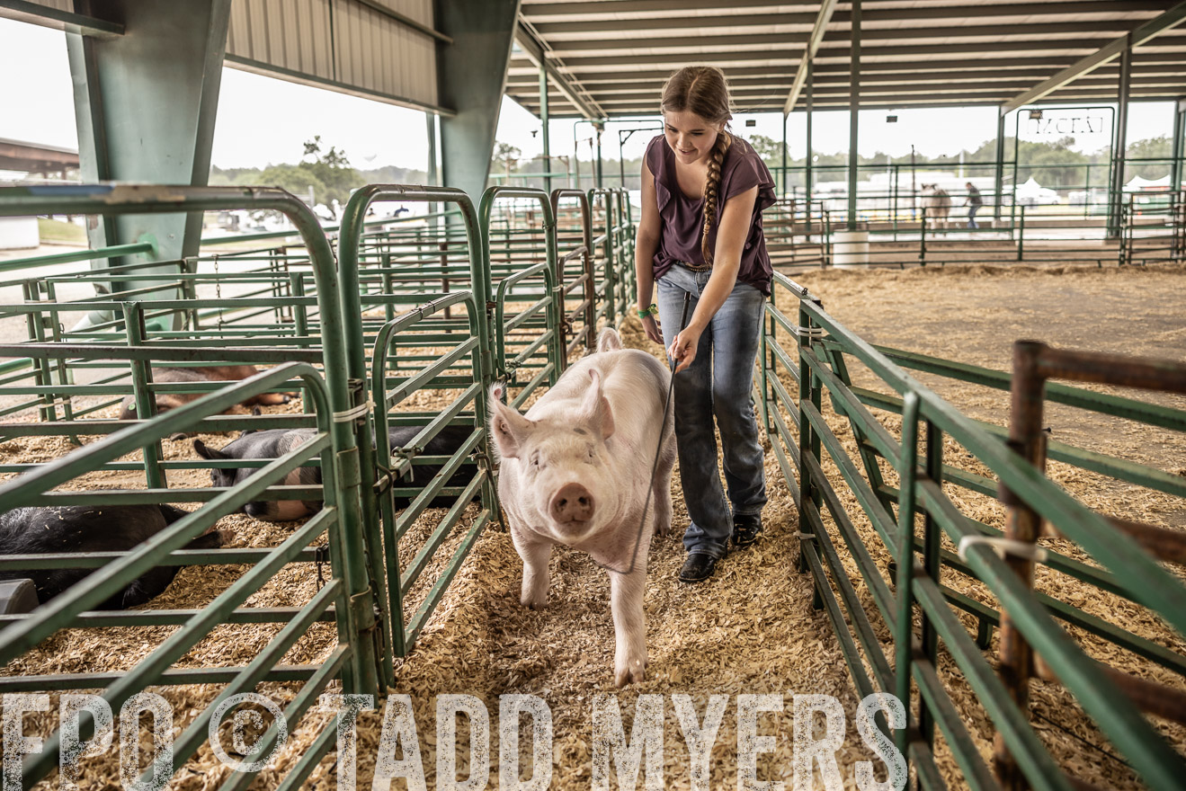 TMyers_PlotTwist_HEB_ConroeTX_April2024-516325