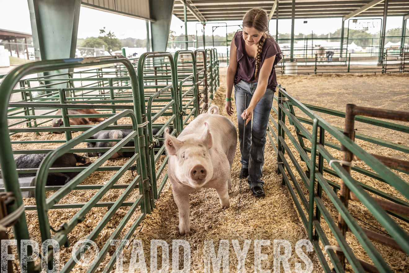 TMyers_PlotTwist_HEB_ConroeTX_April2024-516327