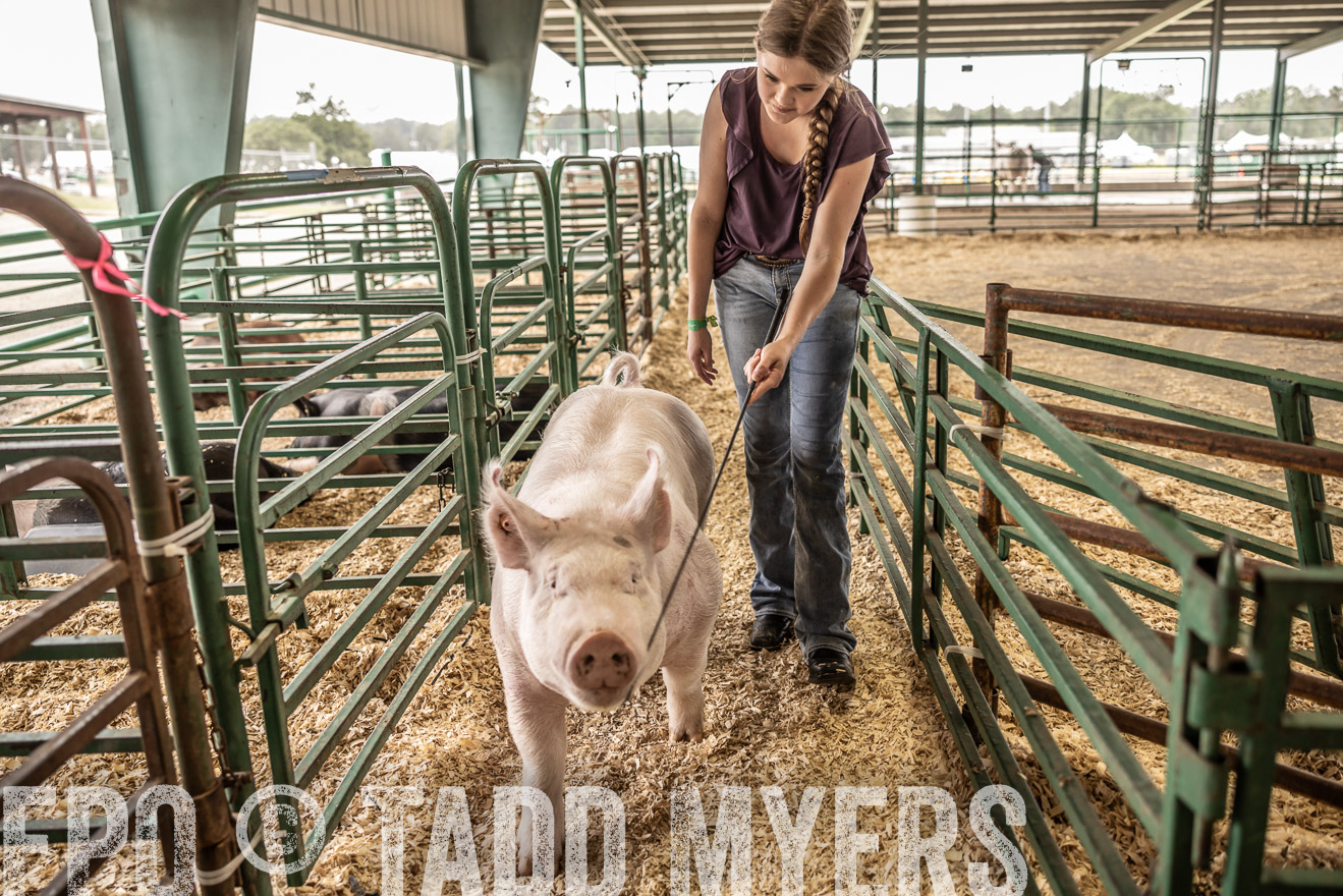 TMyers_PlotTwist_HEB_ConroeTX_April2024-516329