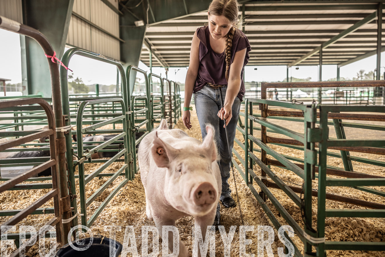 TMyers_PlotTwist_HEB_ConroeTX_April2024-516331