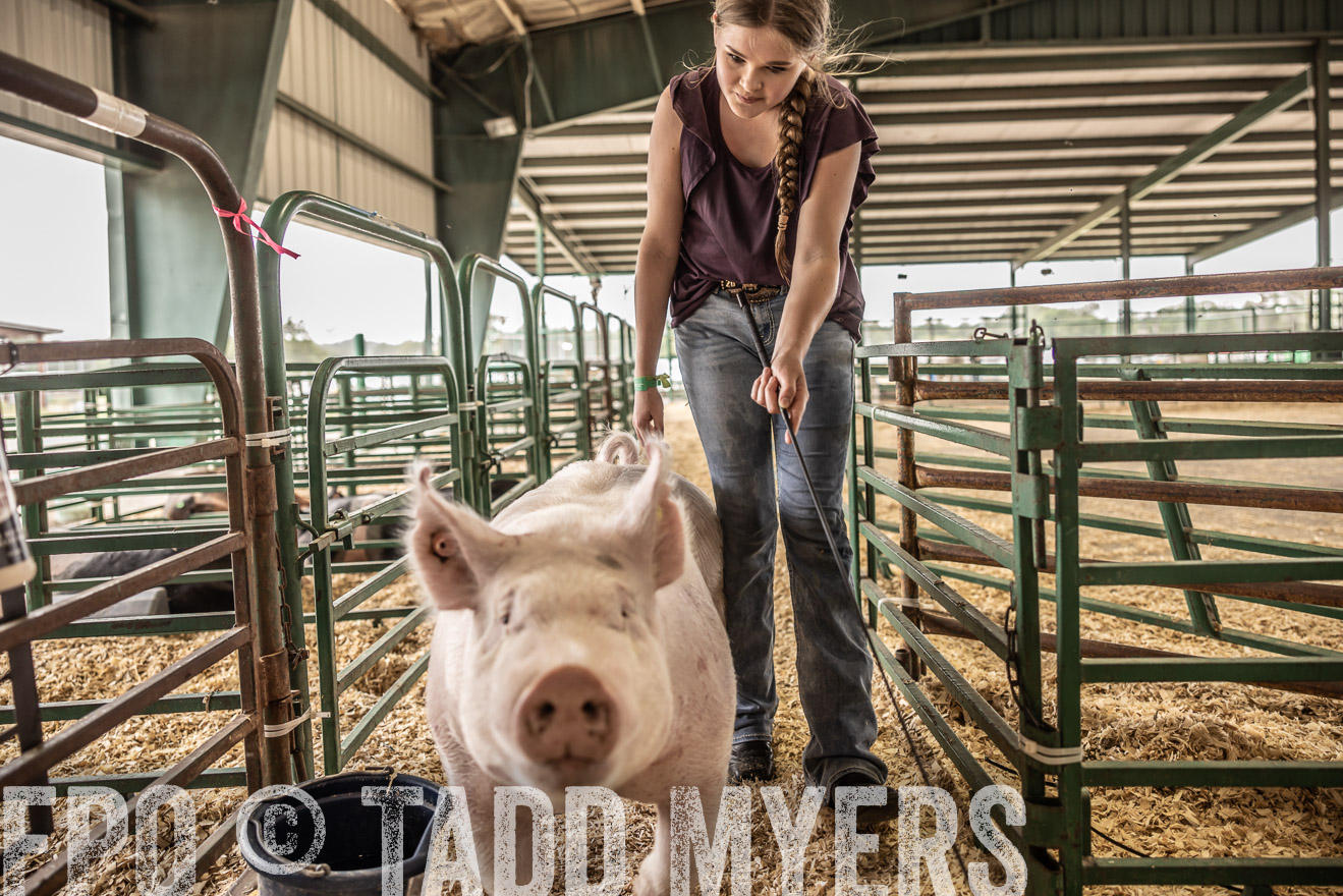 TMyers_PlotTwist_HEB_ConroeTX_April2024-516333