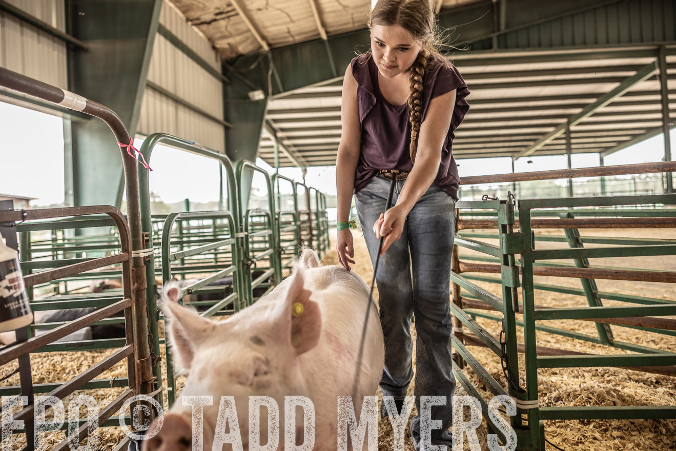TMyers_PlotTwist_HEB_ConroeTX_April2024-516334