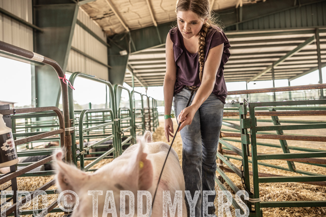 TMyers_PlotTwist_HEB_ConroeTX_April2024-516335