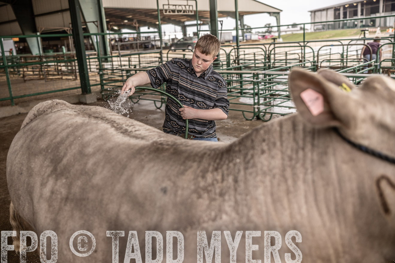 TMyers_PlotTwist_HEB_ConroeTX_April2024-516342