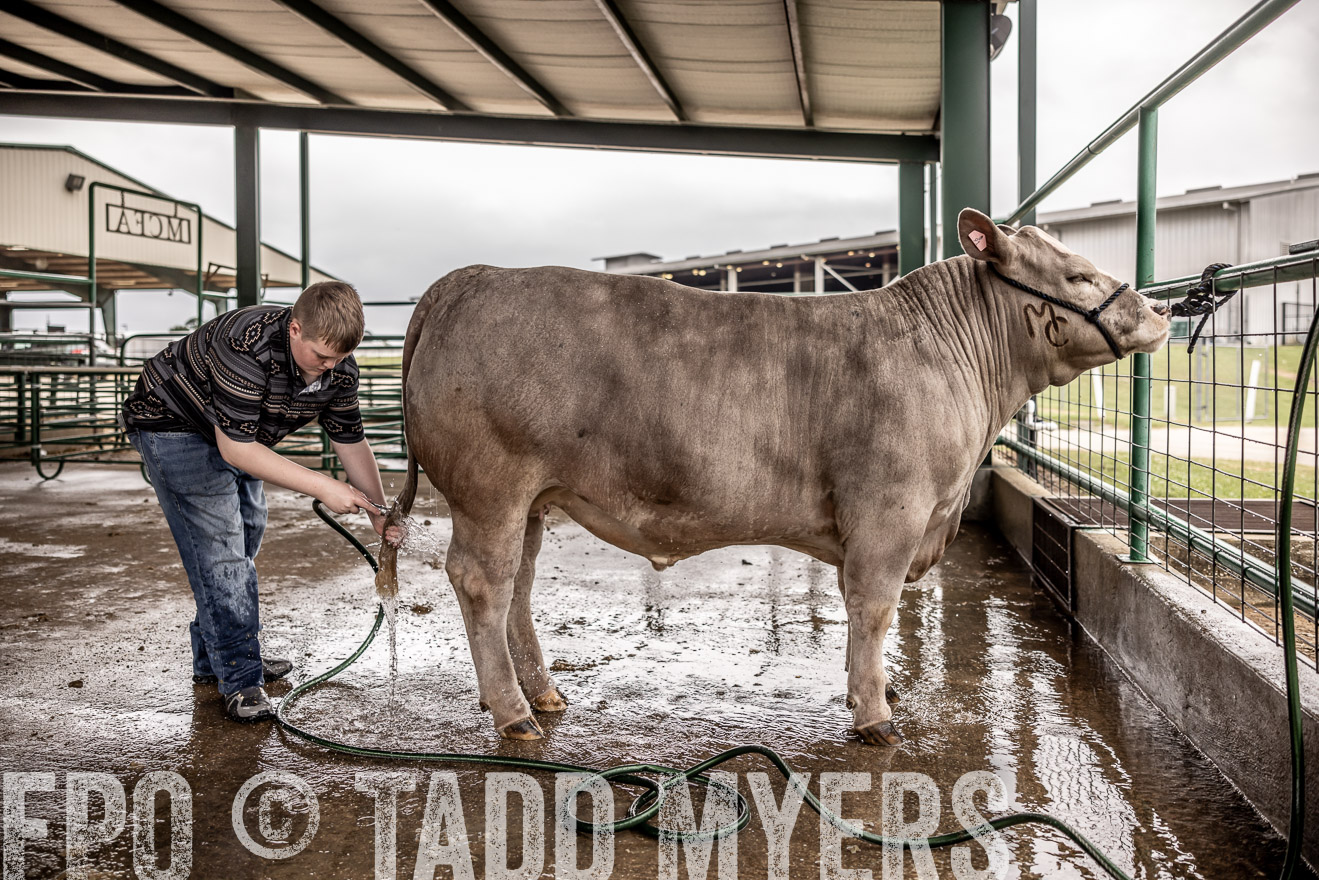 TMyers_PlotTwist_HEB_ConroeTX_April2024-516364