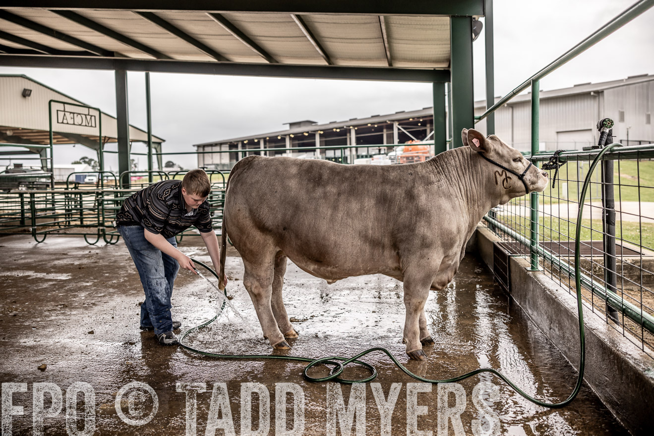 TMyers_PlotTwist_HEB_ConroeTX_April2024-516371