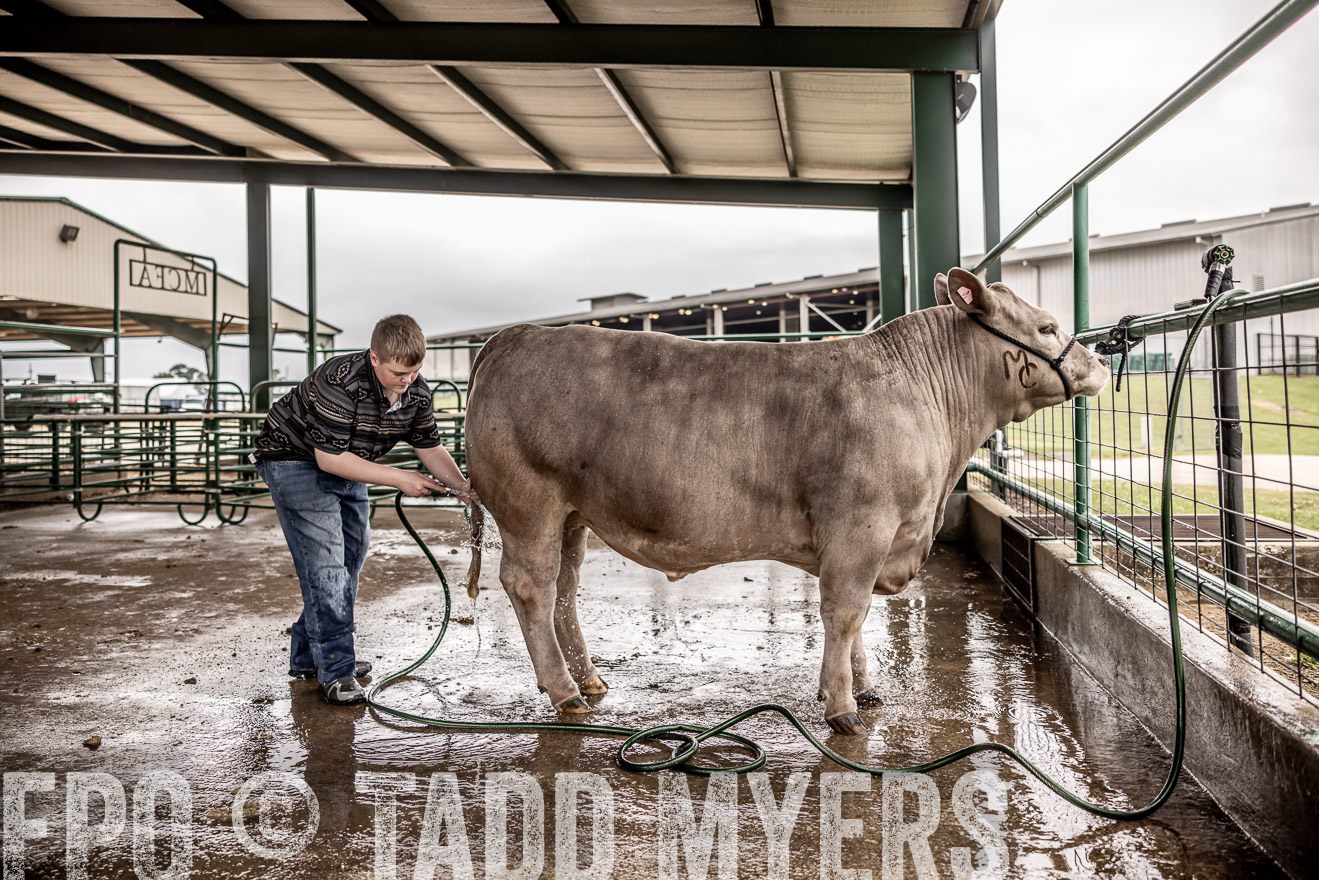 TMyers_PlotTwist_HEB_ConroeTX_April2024-516374