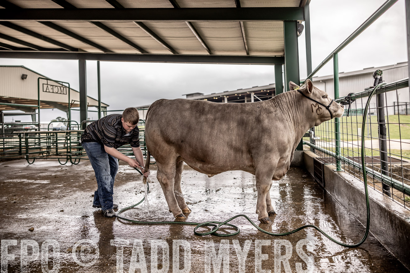 TMyers_PlotTwist_HEB_ConroeTX_April2024-516379