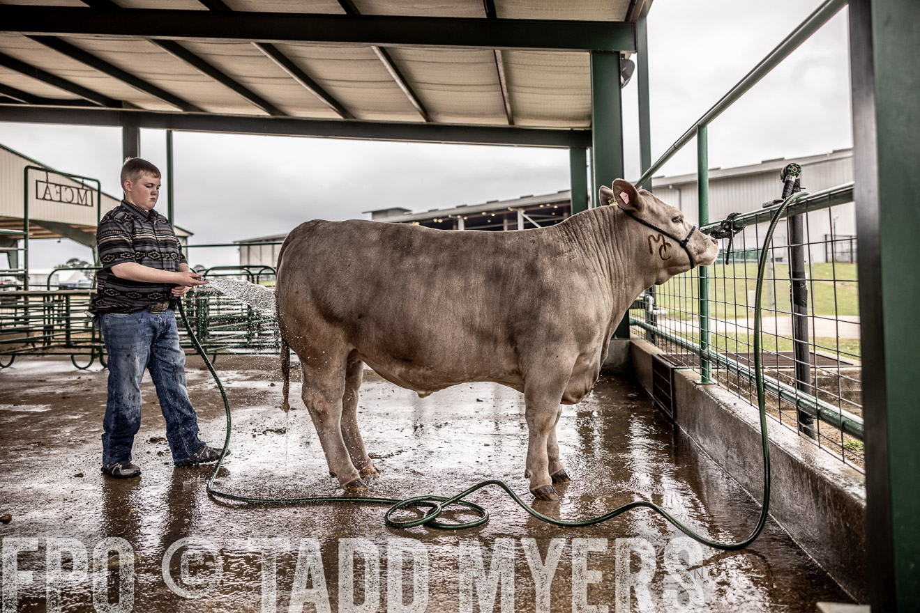 TMyers_PlotTwist_HEB_ConroeTX_April2024-516384