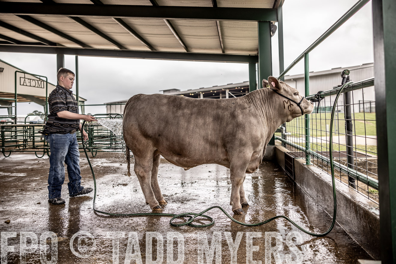 TMyers_PlotTwist_HEB_ConroeTX_April2024-516386