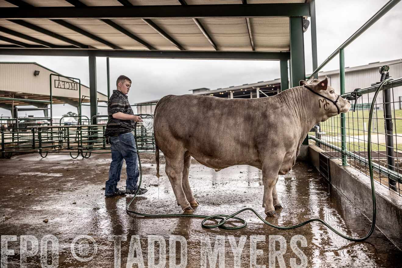TMyers_PlotTwist_HEB_ConroeTX_April2024-516387