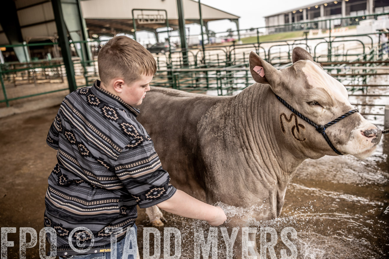 TMyers_PlotTwist_HEB_ConroeTX_April2024-516401