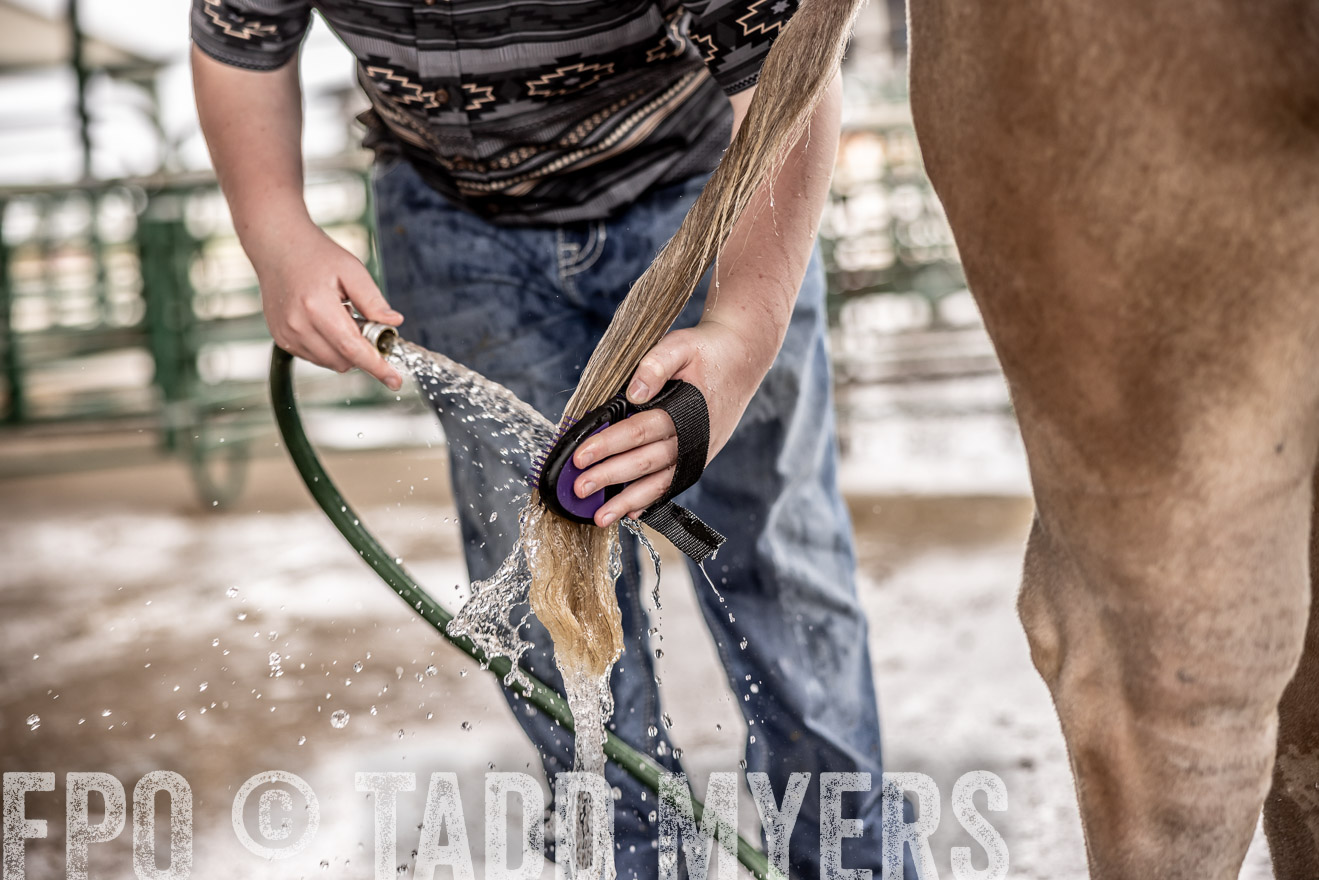 TMyers_PlotTwist_HEB_ConroeTX_April2024-516427