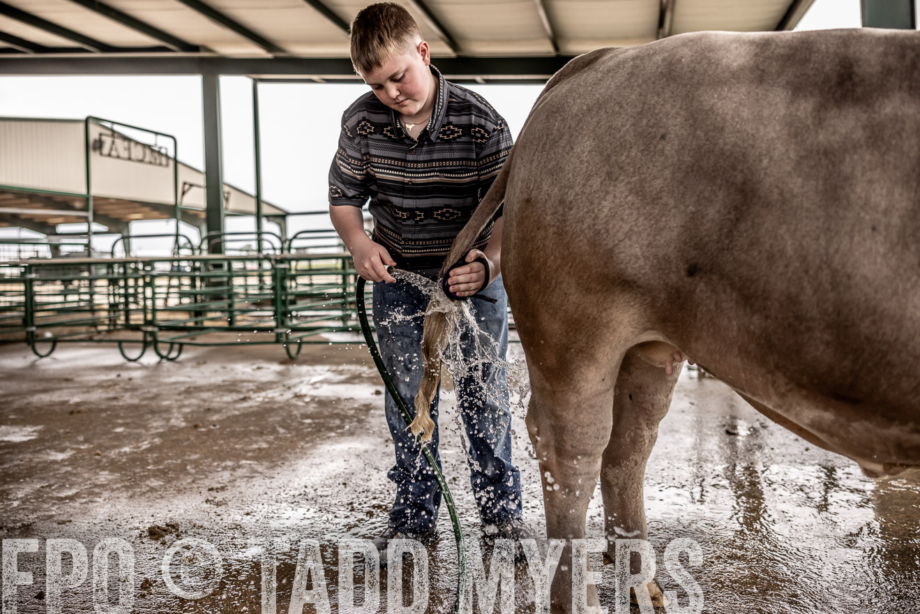 TMyers_PlotTwist_HEB_ConroeTX_April2024-516431