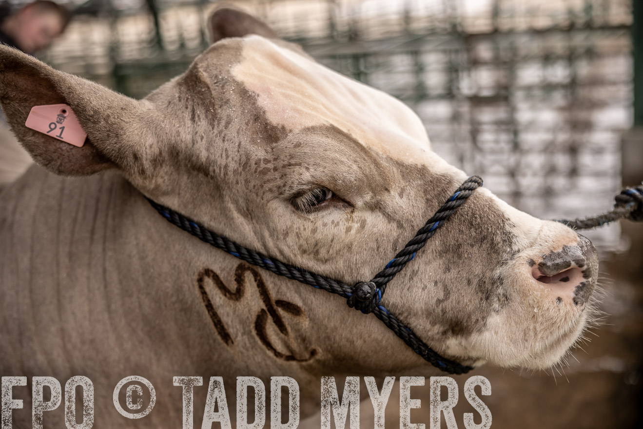 TMyers_PlotTwist_HEB_ConroeTX_April2024-516444