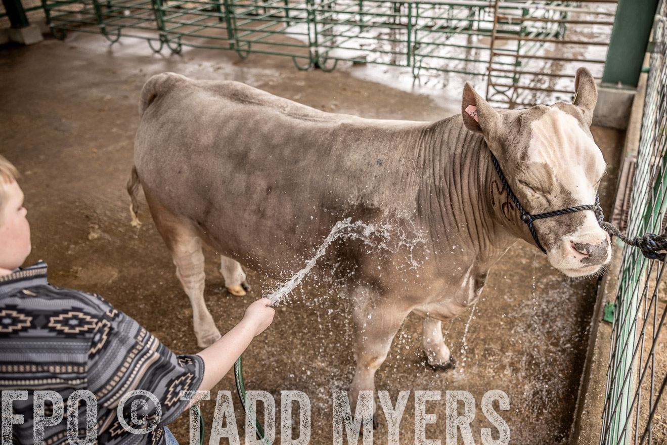 TMyers_PlotTwist_HEB_ConroeTX_April2024-516456