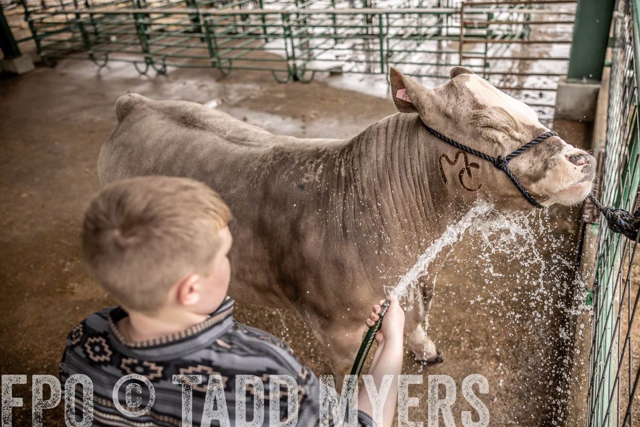 TMyers_PlotTwist_HEB_ConroeTX_April2024-516462