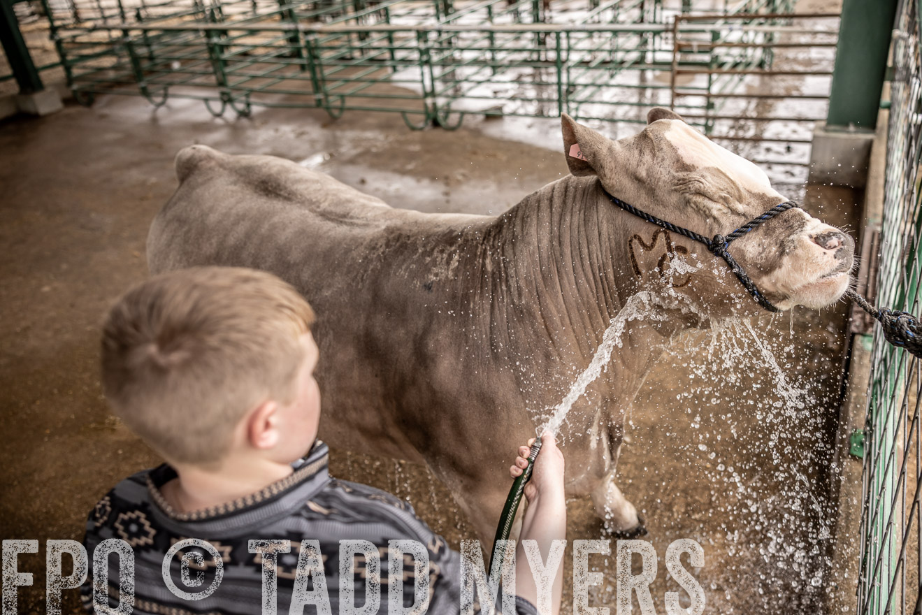 TMyers_PlotTwist_HEB_ConroeTX_April2024-516463