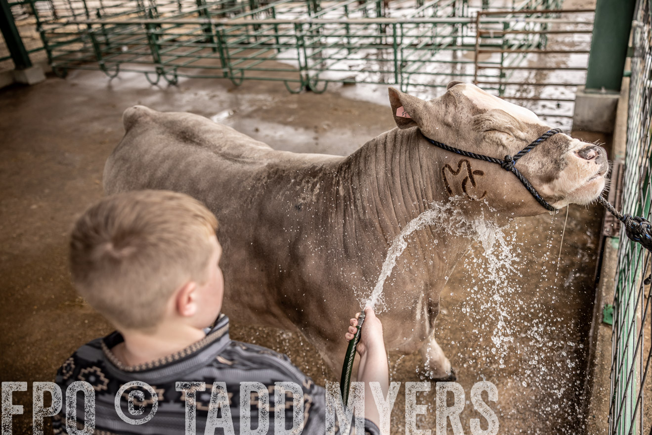 TMyers_PlotTwist_HEB_ConroeTX_April2024-516464