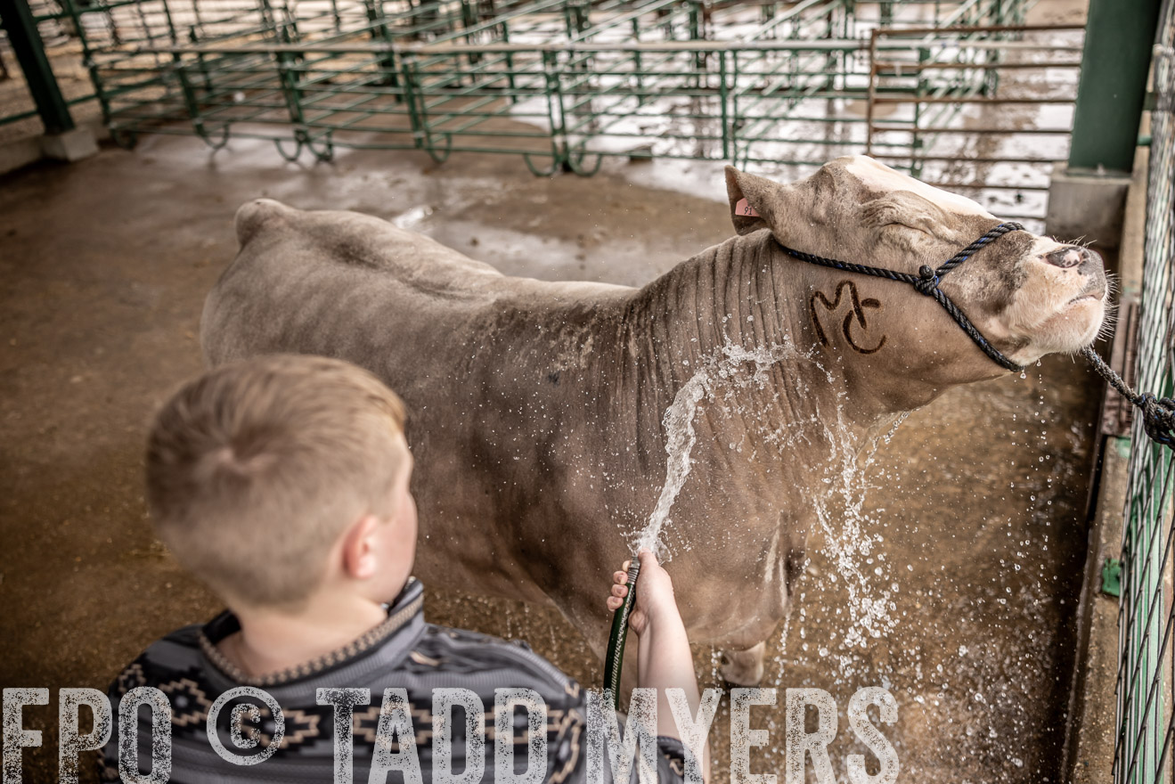 TMyers_PlotTwist_HEB_ConroeTX_April2024-516465