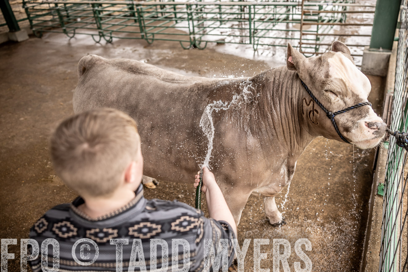 TMyers_PlotTwist_HEB_ConroeTX_April2024-516466